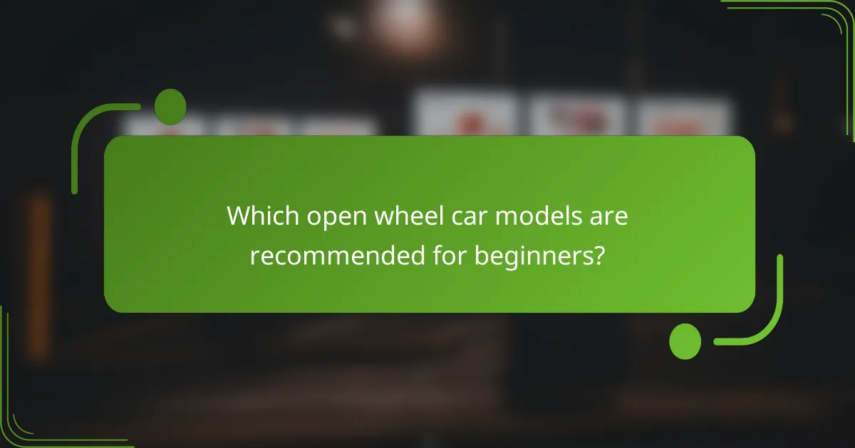 Which open wheel car models are recommended for beginners?